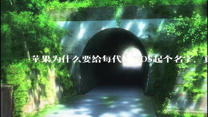 苹果为什么要给每代MacOS起个名字，真以为人们记得住分得清吗？