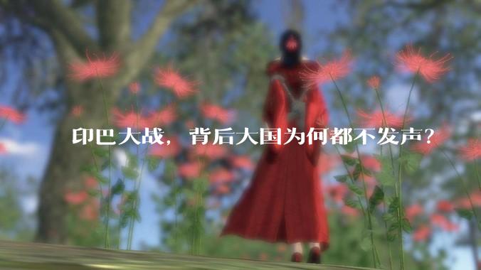 印巴大战，背后大国为何都不发声？