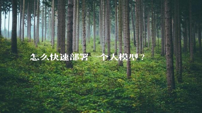 怎么快速部署一个大模型?