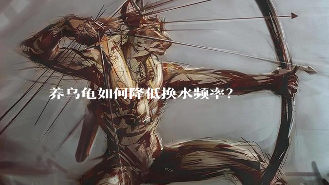 养乌龟如何降低换水频率？