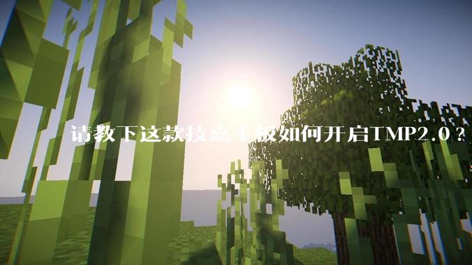 请教下这款技嘉主板如何开启TMP2.0?