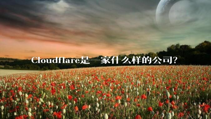 Cloudflare是一家什么样的公司？