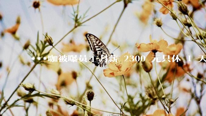 ***咖被曝员工月薪 2300 元只休 1 天，这样的薪资和工作条件是否合理？