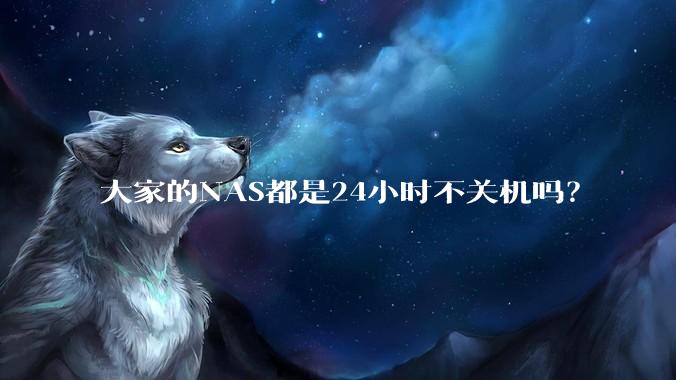 大家的NAS都是24小时不关机吗？