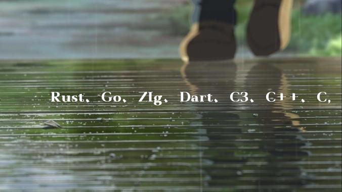 Rust、Go、Zig、Dart、C3、C++、C，仓颉、moonbit、凹语言哪个语言更有未来？