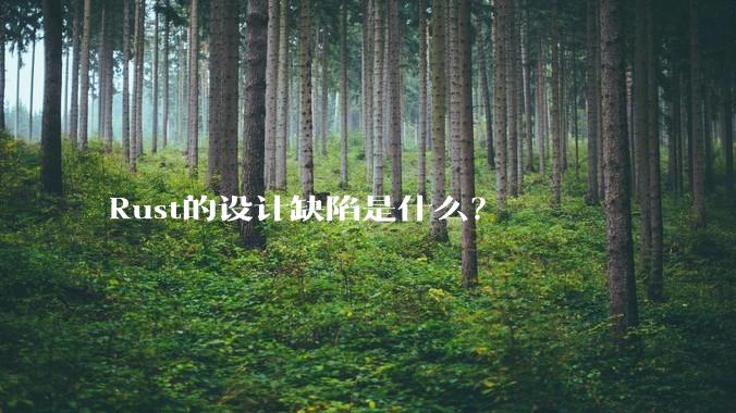 Rust的设计缺陷是什么？