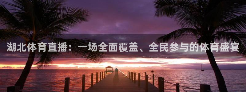 湖北体育直播：一场全面覆盖、全民参与的体育盛宴