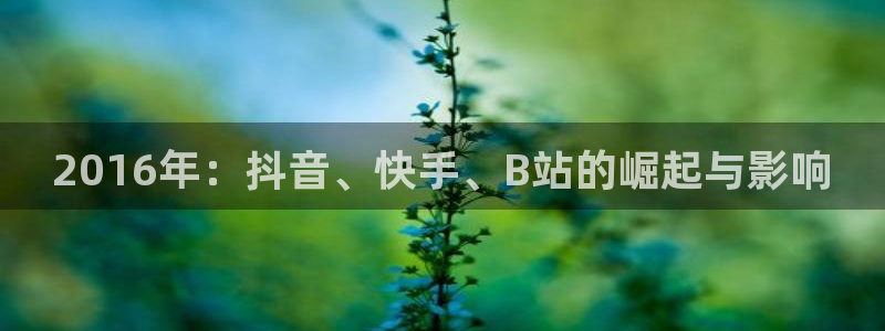 2016年：抖音、快手、B站的崛起与影响