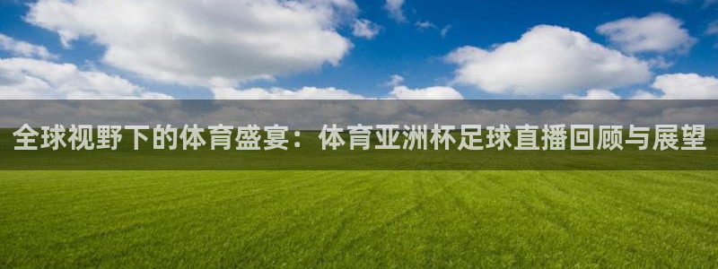 全球视野下的体育盛宴：体育亚洲杯足球直播回顾与展望