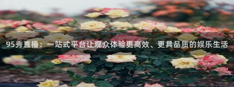 95秀直播：一站式平台让观众体验更高效、更具品质的娱乐生活