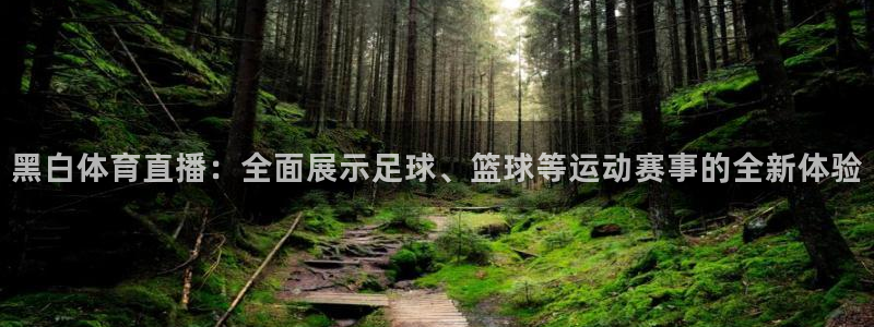 黑白体育直播：全面展示足球、篮球等运动赛事的全新体验