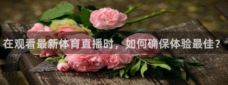 在观看最新体育直播时，如何确保体验最佳？