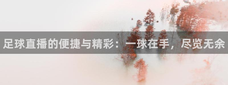 足球直播的便捷与精彩：一球在手，尽览无余