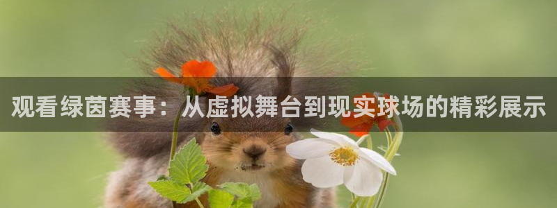 观看绿茵赛事：从虚拟舞台到现实球场的精彩展示